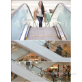 Slim Passenger Escalator VVVF Drive